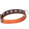 Relaxoo Fettleder Hundehalsband Edelweiß Just Hundesport Edition 2 Relaxoo Fettleder Hundehalsband Edelweiß Just Hundesport Edition -Günstiges Hundeshop Geschäft 195247 Product