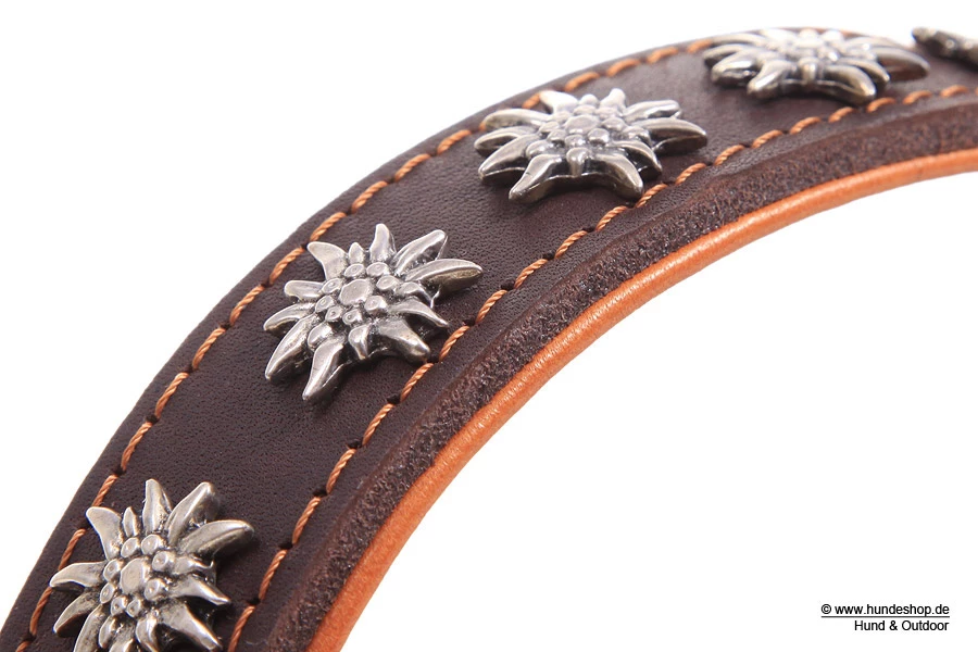 Relaxoo Fettleder Hundehalsband Edelweiß Just Hundesport Edition 4 Relaxoo Fettleder Hundehalsband Edelweiß Just Hundesport Edition – Bild 2