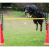 Dog Agility Pylonenhürde Höhenverstellbar Rot -Günstiges Hundeshop Geschäft 206822 Product
