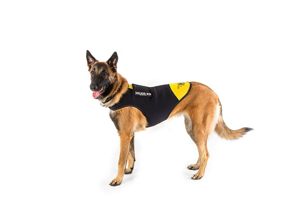 Julius K-9 IDC® Neopren Hundemantel 5 Julius K-9 IDC® Neopren Hundemantel – Bild 3