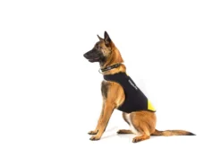 Julius K-9 IDC® Neopren Hundemantel 10 Julius K-9 IDC® Neopren Hundemantel -Günstiges Hundeshop Geschäft 208041 Product
