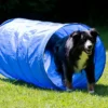 Dog Agility Tunnel 152 Cm X 60 Cm Blau 1 Dog Agility Tunnel 152 Cm X 60 Cm Blau -Günstiges Hundeshop Geschäft 218103 Product