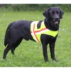 Profi Hunde Warnweste 2 Profi Hunde Warnweste -Günstiges Hundeshop Geschäft 222951 Product