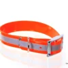 Relaxoo Biothane Reflex Hundehalsband Orange 25mm Breit 1 Relaxoo Biothane Reflex Hundehalsband Orange 25mm Breit -Günstiges Hundeshop Geschäft 223207 Product