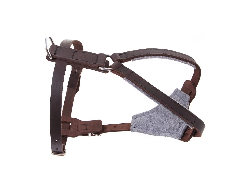 Relaxoo Fettleder Hundegeschirr Just Hundesport Edition 3 Relaxoo Fettleder Hundegeschirr Just Hundesport Edition