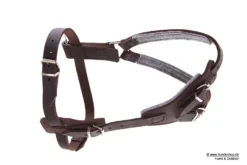 Relaxoo Fettleder Hundegeschirr Just Hundesport Edition 7 Relaxoo Fettleder Hundegeschirr Just Hundesport Edition -Günstiges Hundeshop Geschäft 224420 Product