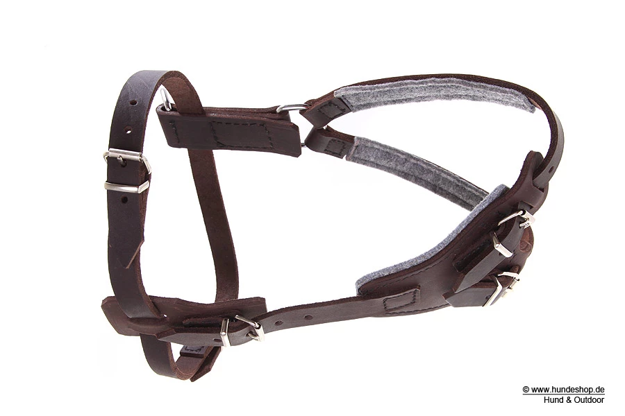 Relaxoo Fettleder Hundegeschirr Just Hundesport Edition 4 Relaxoo Fettleder Hundegeschirr Just Hundesport Edition – Bild 2