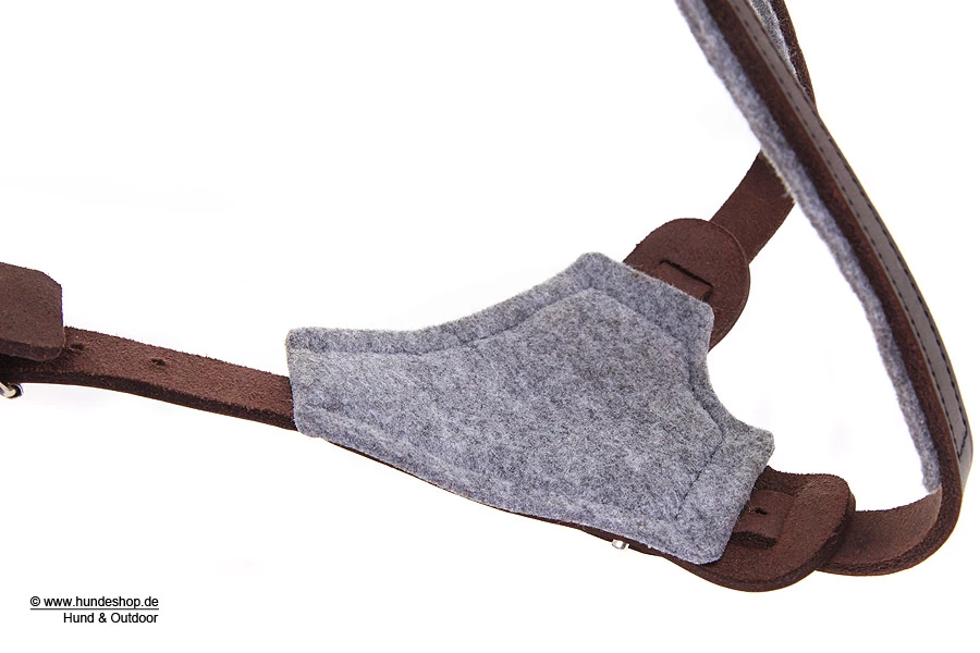 Relaxoo Fettleder Hundegeschirr Just Hundesport Edition 5 Relaxoo Fettleder Hundegeschirr Just Hundesport Edition – Bild 3