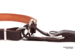 Relaxoo Fettleder Jagdleine Befreiungsleine Just Hundesort Edition 12 Relaxoo Fettleder Jagdleine Befreiungsleine Just Hundesort Edition -Günstiges Hundeshop Geschäft 224523 Product