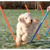 Trixie Agility Parcours 12 Stangen 115 X 3,3 Cm -Günstiges Hundeshop Geschäft 242014 Product