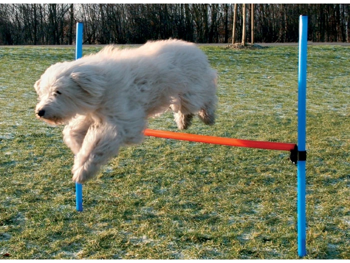 Trixie Agility Parcours Hürde, 115 X 3,3 Cm 3 Trixie Agility Parcours Hürde, 115 X 3,3 Cm