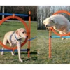 Trixie Agility Parcours Ring, 65 Cm 2 Trixie Agility Parcours Ring, 65 Cm -Günstiges Hundeshop Geschäft 242026 Product