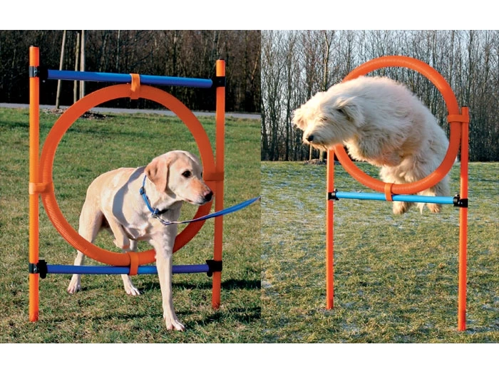 Trixie Agility Parcours Ring, 65 Cm 3 Trixie Agility Parcours Ring, 65 Cm
