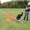 Trixie Dog Activity Fun Agility Wippe Aus Kiefernholz 1 Trixie Dog Activity Fun Agility Wippe Aus Kiefernholz -Günstiges Hundeshop Geschäft 242050 Product