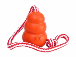 Kong Aqua Hundespielzeug Mit Wurfseil