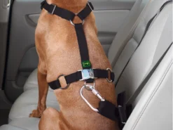 Hunter Autosicherheitsgeschirr Easy Comfort -Günstiges Hundeshop Geschäft 246586 Product