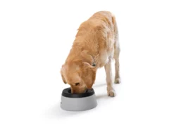 Hunter Reisenapf Road Refresher -Günstiges Hundeshop Geschäft 246928 Product