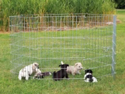 Trixie Freigehege Für Welpen Gr. 2