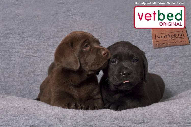 Original Vetbed Premium Grau 5 Original Vetbed Premium Grau – Bild 3