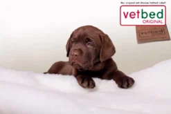 Original Vetbed Premium Weiß -Günstiges Hundeshop Geschäft 252646 Product