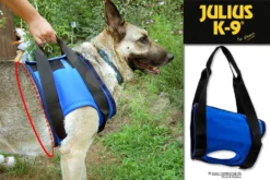 Julius K9 Gehhilfe Geschirr Vorne 5 Julius K9 Gehhilfe Geschirr Vorne -Günstiges Hundeshop Geschäft 258214 Product