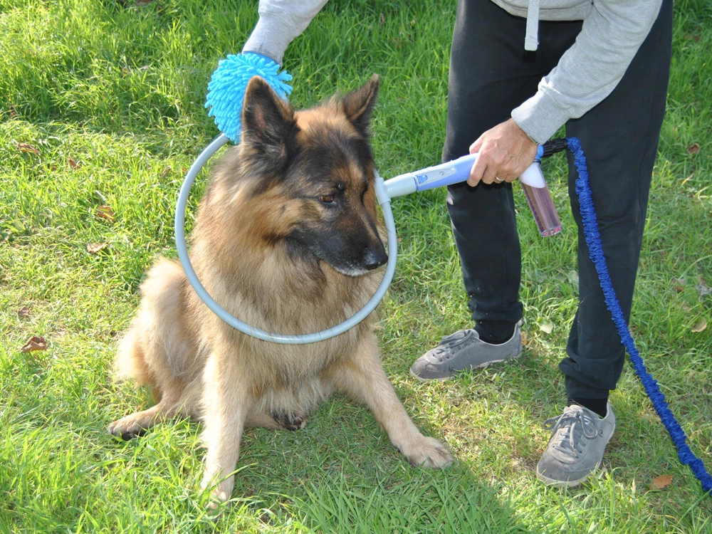 Comfort Wash 360 – Die 360° Dusche Für Hunde 4 Comfort Wash 360 – Die 360° Dusche Für Hunde – Bild 2