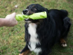 Magic Dummy -Günstiges Hundeshop Geschäft 281683 Product