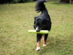 Magic Dummy -Günstiges Hundeshop Geschäft 281685 Product