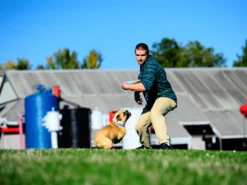 Chuckit Paraflight Frisbee Schwimmfähig -Günstiges Hundeshop Geschäft 318417 Product