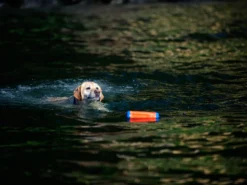 Chuckit Dummy Amphibious Bumper Medium 9 Chuckit Dummy Amphibious Bumper Medium -Günstiges Hundeshop Geschäft 318522 Product