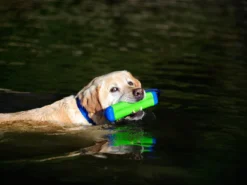 Chuckit Dummy Amphibious Bumper Medium 10 Chuckit Dummy Amphibious Bumper Medium -Günstiges Hundeshop Geschäft 318524 Product