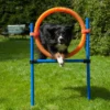 Dog Agility Champion Sprungring 50 Cm