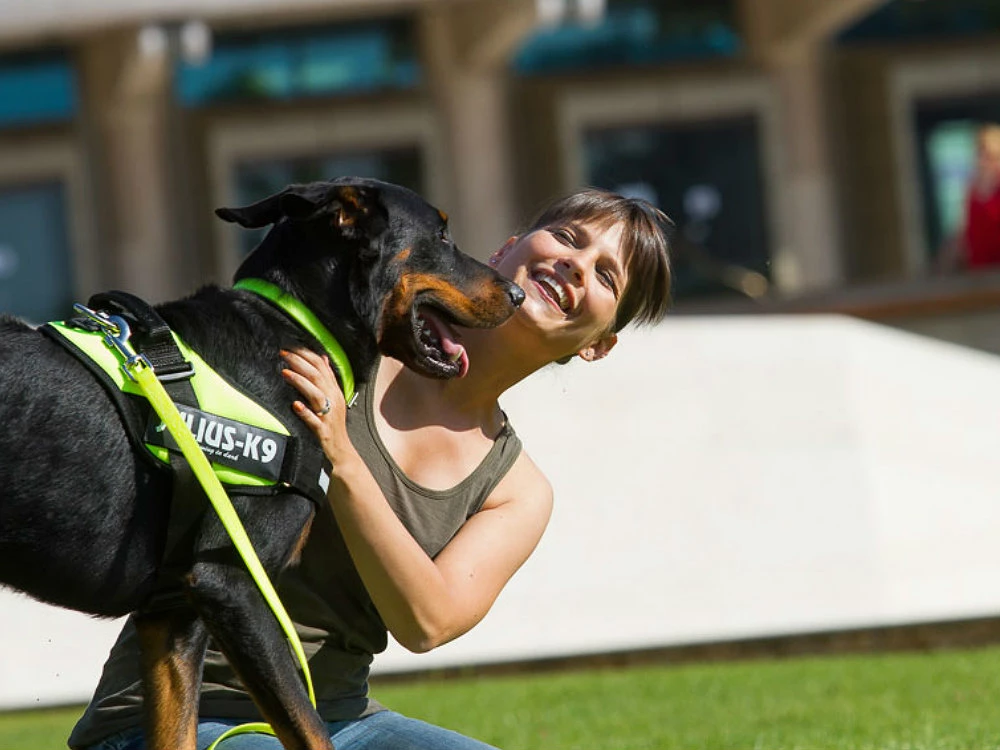 Julius K9 IDC Power Hundegeschirr Neon-grün 4 Julius K9 IDC Power Hundegeschirr Neon-grün – Bild 2