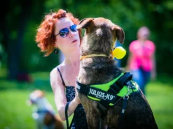 Julius K9 IDC Power Hundegeschirr Neon-grün 9 Julius K9 IDC Power Hundegeschirr Neon-grün -Günstiges Hundeshop Geschäft 322693 Product