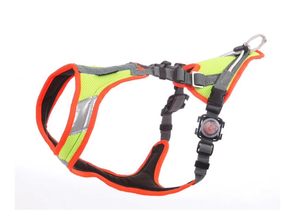 Grossenbacher Mantrailing V Hundegeschirr M. Laufrolle Neon LED 3 Grossenbacher Mantrailing V Hundegeschirr M. Laufrolle Neon LED