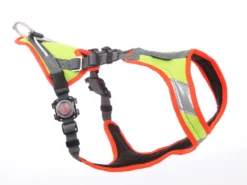 Grossenbacher Mantrailing V Hundegeschirr M. Laufrolle Neon LED 9 Grossenbacher Mantrailing V Hundegeschirr M. Laufrolle Neon LED -Günstiges Hundeshop Geschäft 324255 Product