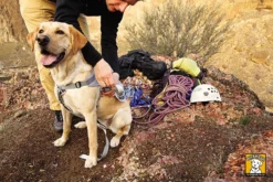 Ruffwear Hundegeschirr Doubleback™ Trekking Bergsteiger 10 Ruffwear Hundegeschirr Doubleback™ Trekking Bergsteiger -Günstiges Hundeshop Geschäft 332547 Product