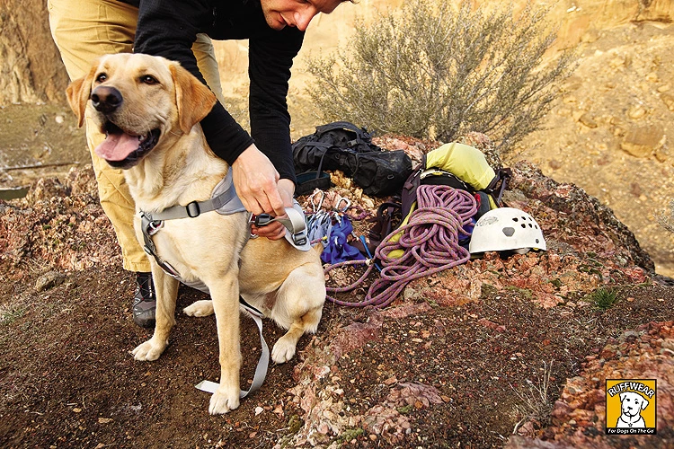 Ruffwear Hundegeschirr Doubleback™ Trekking Bergsteiger 5 Ruffwear Hundegeschirr Doubleback™ Trekking Bergsteiger – Bild 3