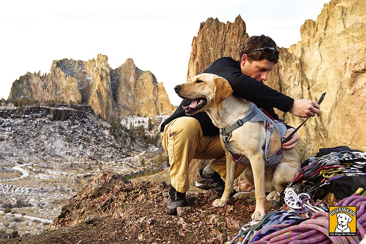 Ruffwear Hundegeschirr Doubleback™ Trekking Bergsteiger 6 Ruffwear Hundegeschirr Doubleback™ Trekking Bergsteiger – Bild 4