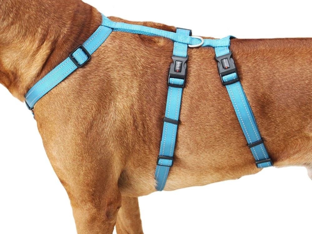 Wolters No Escape Soft & Safe Hundegeschirr Aqua 5 Wolters No Escape Soft & Safe Hundegeschirr Aqua – Bild 3