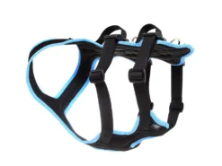 Grossenbacher Dog´s FunRun Support -Günstiges Hundeshop Geschäft 335899 Product