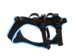 Grossenbacher Dog´s FunRun Support -Günstiges Hundeshop Geschäft 335901 Product