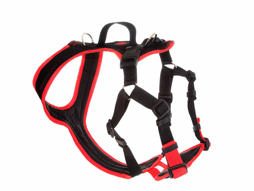 Grossenbacher Ausbildungsgeschirr ProGuide 4 Grossenbacher Ausbildungsgeschirr ProGuide – Bild 2