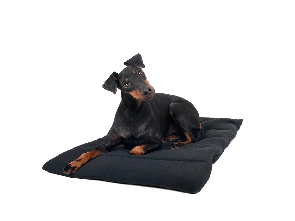 Back On Track Hundedecke 68 Cm X 50 Cm 3 Back On Track Hundedecke 68 Cm X 50 Cm