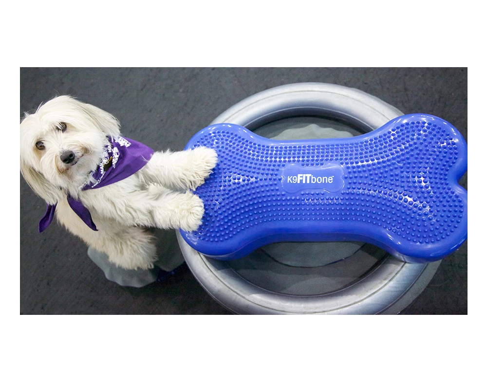 FitPAWS® Donut Holder 4 FitPAWS® Donut Holder – Bild 2