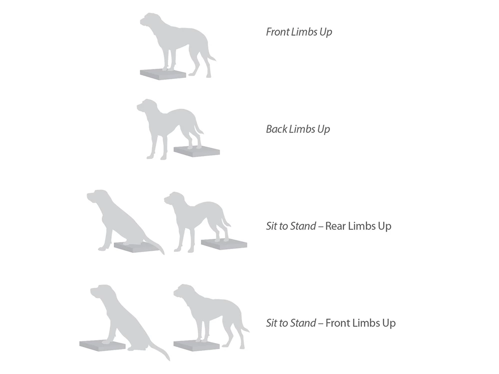 FitPAWS® Balance Pad 6 FitPAWS® Balance Pad – Bild 4