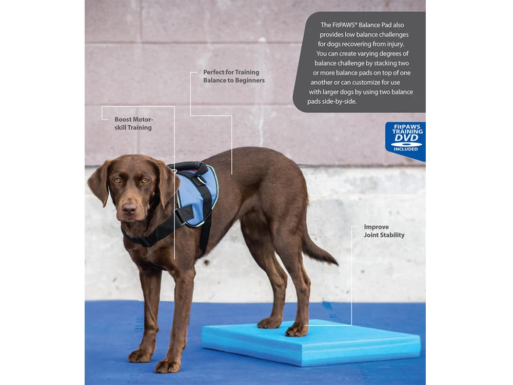FitPAWS® Balance Pad 7 FitPAWS® Balance Pad – Bild 5
