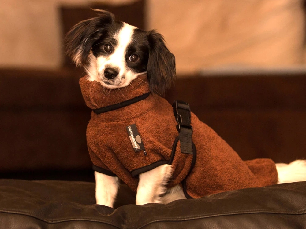 Dryup Cape Hundebademantel Mini Braun 3 Dryup Cape Hundebademantel Mini Braun