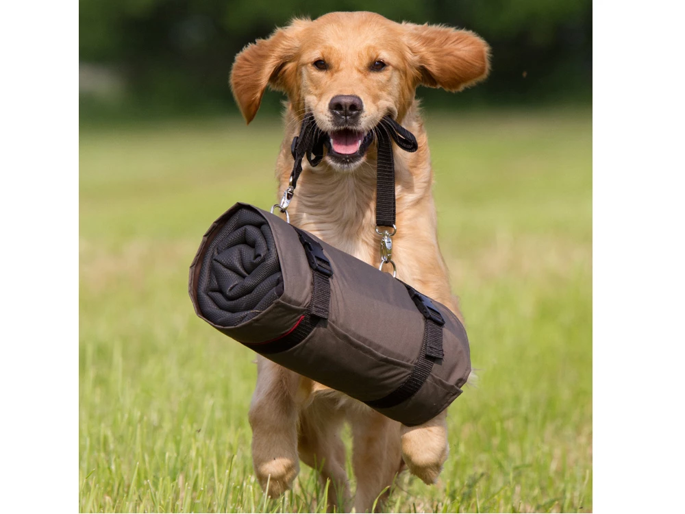 Warmup Blanket Basic Hundedecke, S 4 Warmup Blanket Basic Hundedecke, S – Bild 2