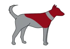 Trixie Schutzkragen Aufblasbare Halskrause Für Hunde 9 Trixie Schutzkragen Aufblasbare Halskrause Für Hunde -Günstiges Hundeshop Geschäft 415059 Product